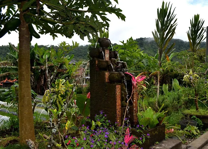 Dajan Buyan
