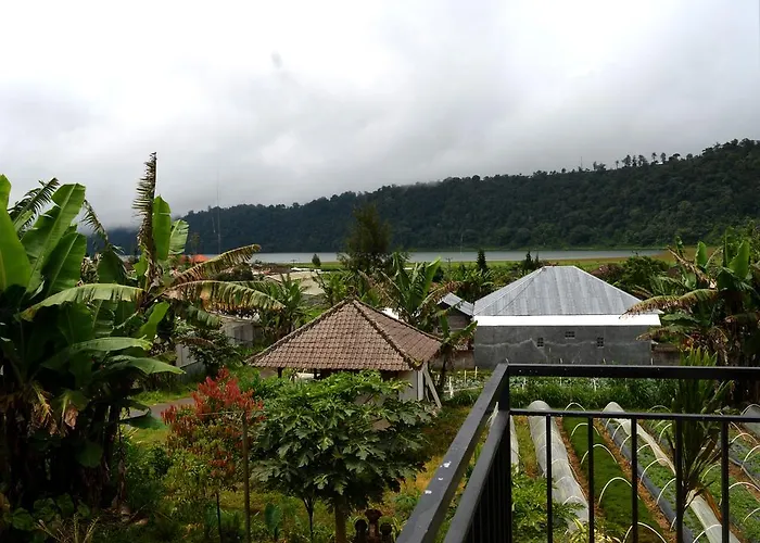 Dajan Buyan *